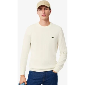 Bisiklet Yaka Regular Fit Erkek Triko