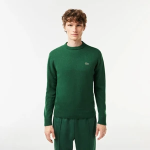 Bisiklet Yaka Regular Fit Erkek Triko