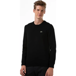 Bisiklet Yaka Regular Fit Erkek Triko