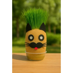 9200 Çim Adam Çim Kafa Kedi