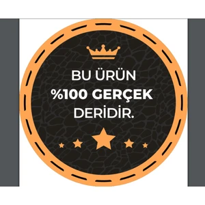 Kaliteli Deri 4.5 cm Geniş Dilli Lacivert Kot, Spor Kemer