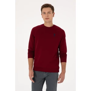 U.S. Polo Assn. Erkek Bordo Basic Sweatshirt 50308103-VR014