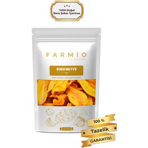 Şekersiz Kurutulmuş Mango – 70GR – Doğal ve Katkısız