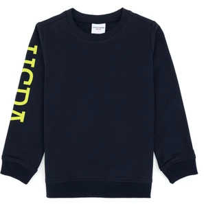 U.S. Polo Assn. Erkek Çocuk Açık Lacivert İnce Bisiklet Yaka Basic Sweatshirt 50313831-VR059