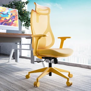 Karr Office Rio Ergonomik Çalışma Koltuğu