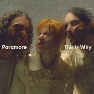 Warner Music Group Paramore / In This Way (Plak)