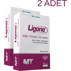 Milk Thistle 60 Kapsül X2 Adet