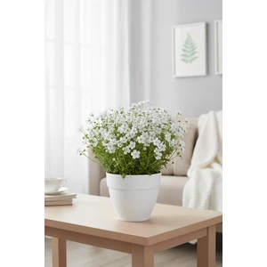 Canan Renkli Saksı 25cm