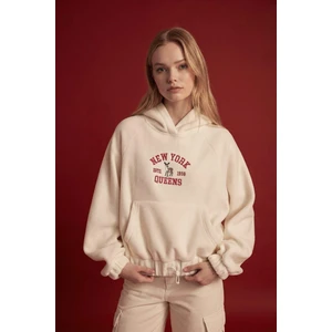 Loose Fit Kapüşonlu Kanguru Cepli Polar Sweatshirt C8197AX24WN