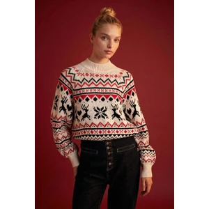 Regular Fit Yarım Balıkçı Yaka Triko Kazak D1097AX24CW