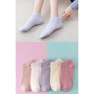 5’li Yazlık Renkli Çorap