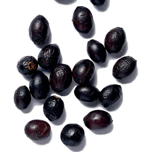 Tunç Botanik DEFNE AĞACI TOHUMU 30 ADET - Laurus Nobilis