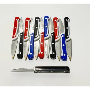 12'li Meyve Bıçağı Perçimli Sap Üst Kalite