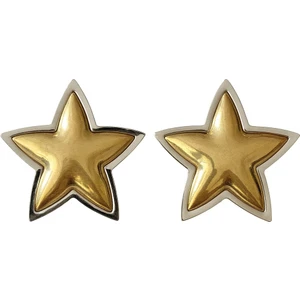 Venüs Design Çelik Star Küpe