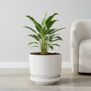 6 Litre Gri Dekoratif Lüks Saksı Iç Dış Mekan Tabaklı Plastik Çiçek Saksısı