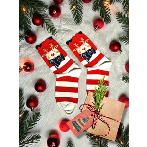 Diva Viva - Yılbaşı Temalı Kadın Çorap – Desenli Özel Tasarım (Hediye Paketli)