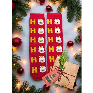 Diva Viva - Yılbaşı Temalı Kadın Çorap – Desenli Özel Tasarım (Hediye Paketli)