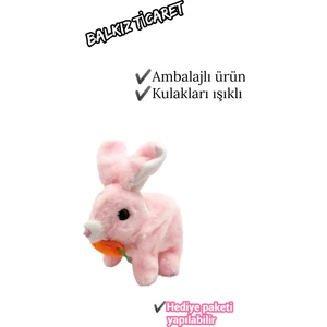 Kulakları Işıklı  Pilli Tavşan