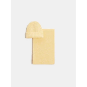 A004 Atkı Bere Takımı-Sarı