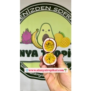 Pasiflora Çarkıfelek Meyvesi(3 Adet)