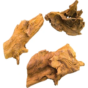 Marimo Scape Mangrove Kökü (20-30 Cm)