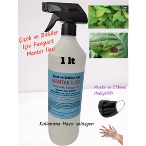 İlkadım Botanik 1000 ml Çiçek ve Bitkiler İçin Fungust Mantar Temizleyici Solüsyon