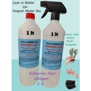İlkadım Botanik (2 Lt) Çiçek ve Bitkiler için Fungust Mantar İlacı