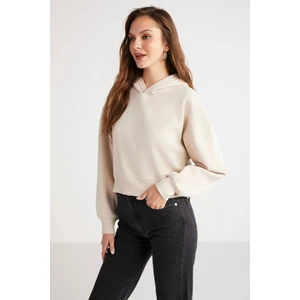 Ayla Kadın Içi Polarlı Comfort Yumuşacık Fit Kapüşonlu Crop Bej Sweatshirt