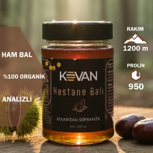 Doğal Kovan Ham Kestane Balı - 300 Gr