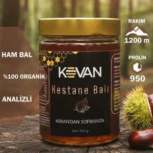 Doğal Kovan Ham Kestane Balı - 500 Gr