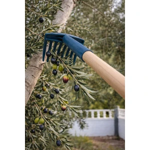 Sef TarımZEYTİN TOPLAMA TırmıĞI-KAMP TIRMIĞI