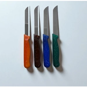 Alman Model Meyve Bıçağı 4 Lü Karışık Renk