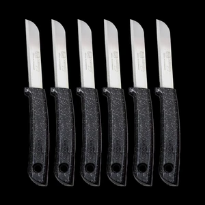 Simli Meyve Bıçağı 6'lı