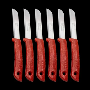 Simli Meyve Bıçağı 6'lı