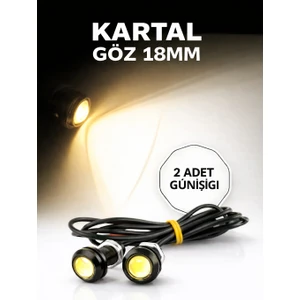 Ayna Altı Kartal Göz LED 2'li