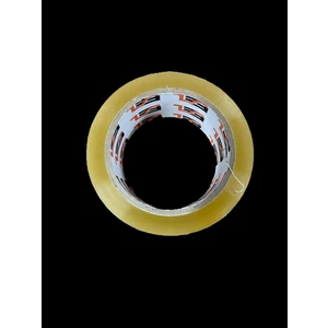 Koli BANDI45X100 1 Adet