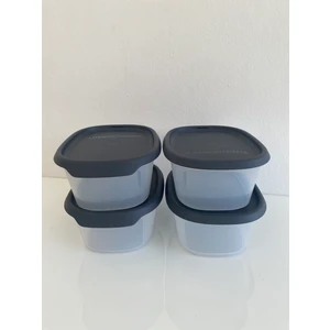 Tek Dokunuş Gıda Saklama 540ML 4lü