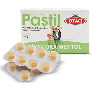 Pastil Oka Mentol 16'lı