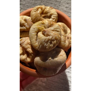 Aydın Dağ Inciri Yeni Mahsül