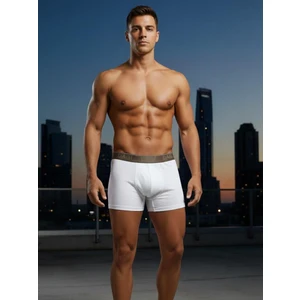 Micro Modal 3'lü Boxer