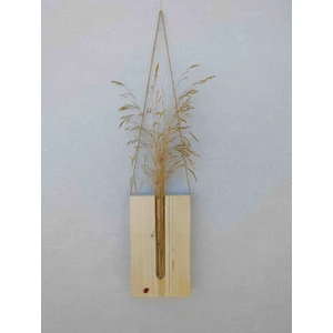 Ay Akdeniz Dekoratif Duvar Süsü