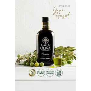 Gaia Oliva Yüksek Polifenollü Premium Ayvalık 500 ml Erken Hasat Natürel Sızma Zeytinyağı (Yeni Hasat)