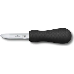 İstiridye Bıçağıağı