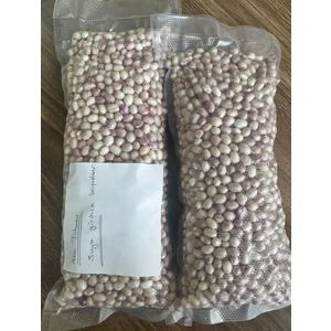 Erzurum Salim Erzurum İspir Şeker Fasulyesi