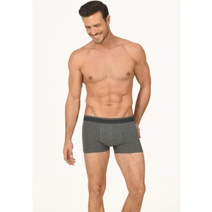 Nbb 737 Erkek Boxer Antrasit Melanj