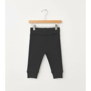 Basic Theme Raporlu Patiksiz Alt