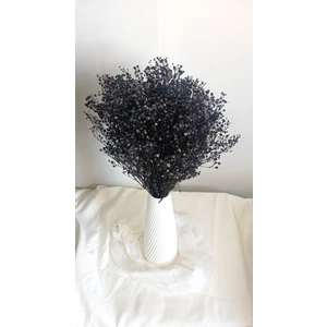 Cipso Çiçeği Şoklanmış Koyu Mor A Kalite