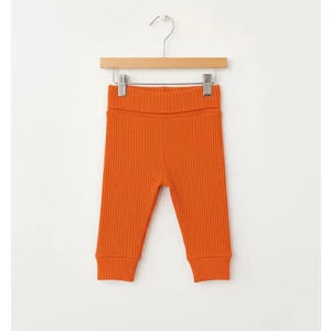 Basic Theme Raporlu Patiksiz Alt