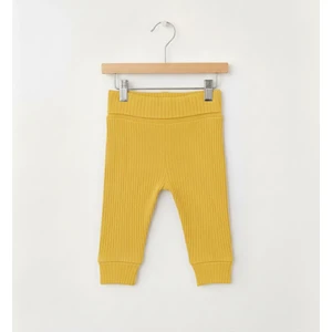 Basic Theme Raporlu Patiksiz Alt