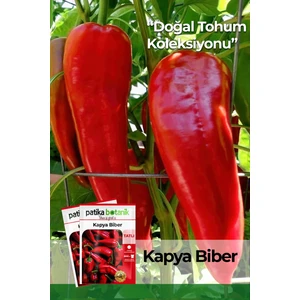 200 Adet Kapya Biber Tohumu
